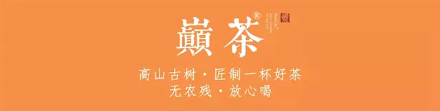 2013巅茶欢乐时光生茶品饮体会