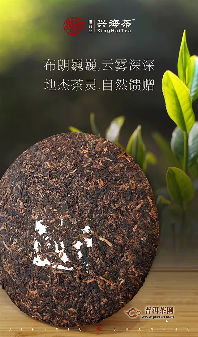 兴海锦绣山河熟茶火热发售