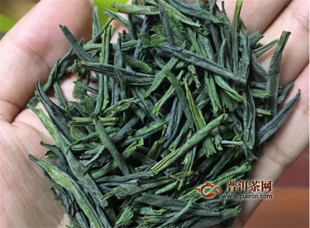 茶葉品種圖片