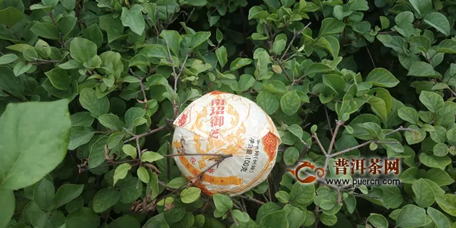 2019年下關(guān)沱茶南詔御沱試用評(píng)測(cè)報(bào)告