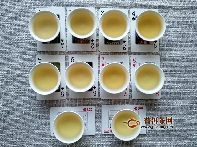 试饮2016年凤牌凤和生茶