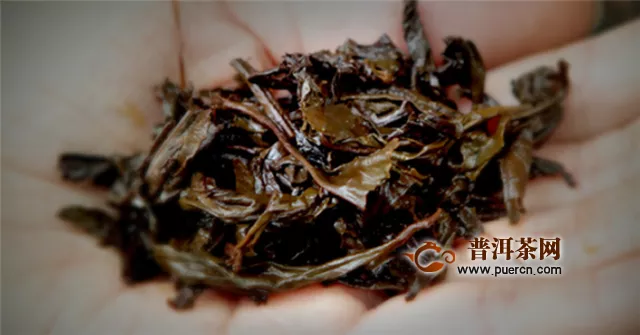 六堡茶和安化黑茶的品种不同