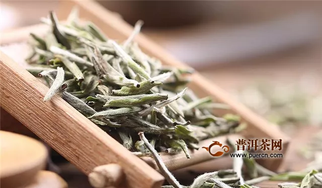 白茶的原产地，白茶的主要产地在于福建省！