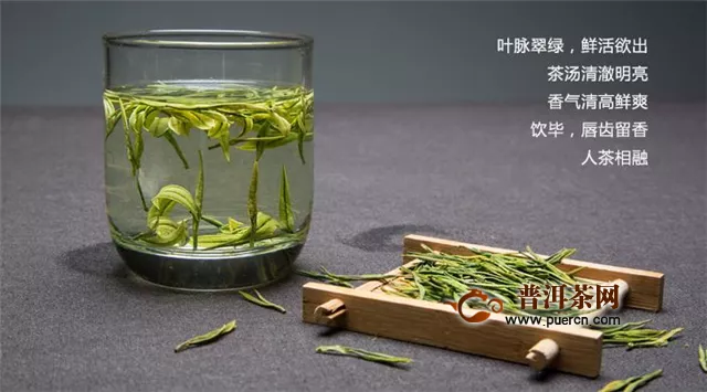 珍品安吉白茶是怎么制作的