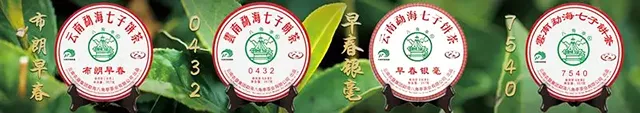 八角亭邀您相约中国西部西安国际茶产业博览会