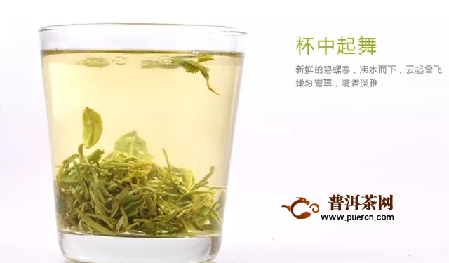 碧螺春属于炒青绿茶