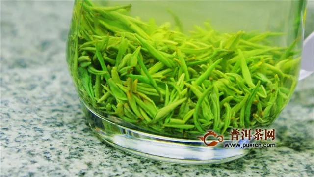 信阳毛尖属于红茶还是绿茶？绿茶是也！