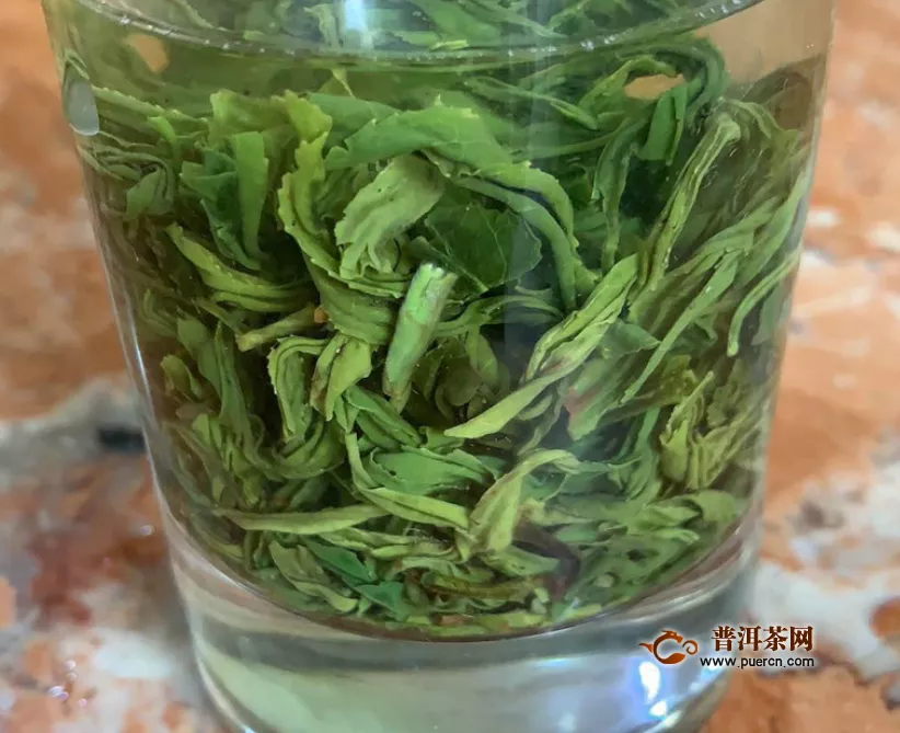 什么茶才是绿茶？绿茶有哪些特征？