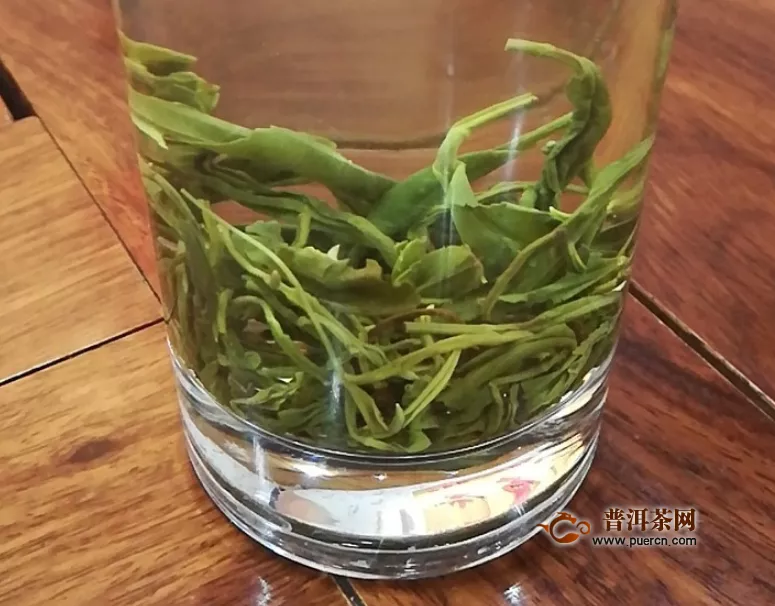 什么茶才是绿茶？绿茶有哪些特征？
