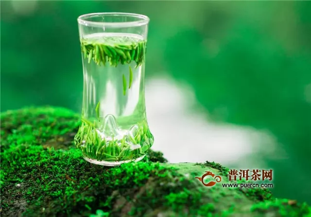 绿茶怎么泡好看？用玻璃杯泡可赏茶舞！