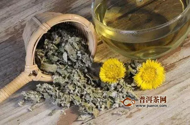 款冬花茶用量多少克