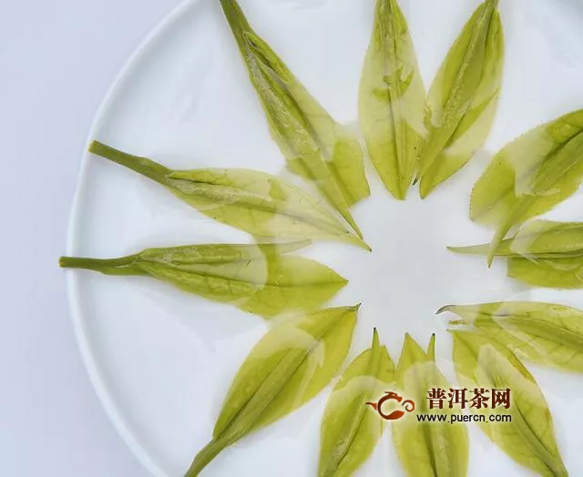 安吉白茶的特點(diǎn)和功效，