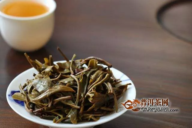 景迈山古树茶属什么茶