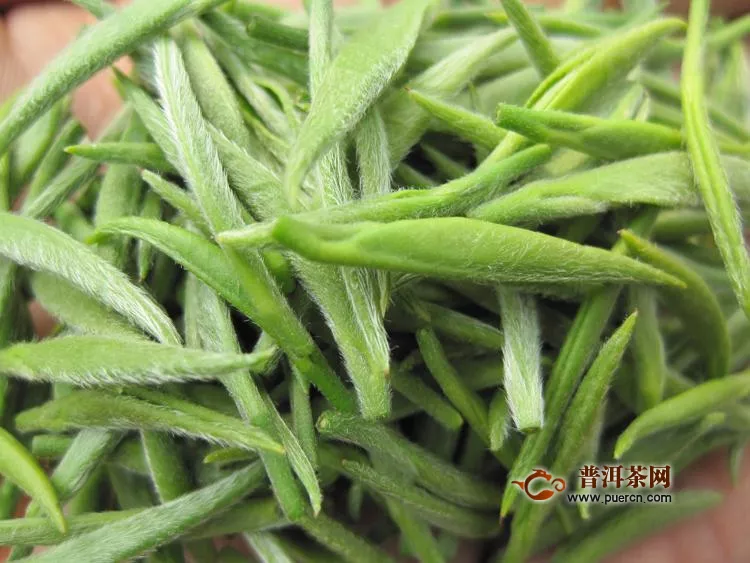 綠茶是涼性還是熱性？綠茶——涼性茶！