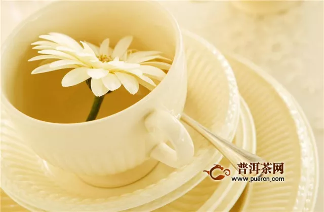 隔夜菊花茶能喝嗎？菊花茶適合現(xiàn)泡現(xiàn)喝！