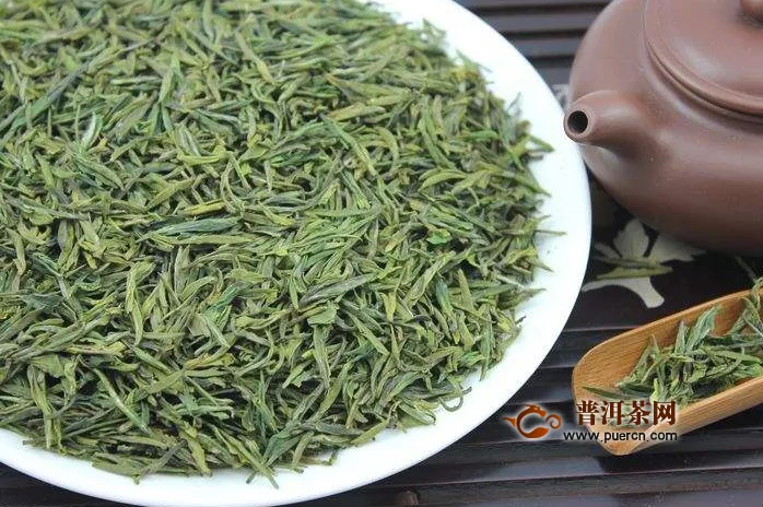 绿茶菊花茶功效与作用，绿茶菊花茶饮用禁忌