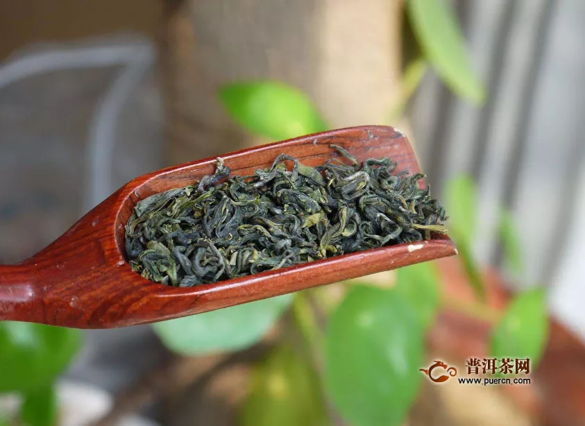 綠茶的品牌哪家好？綠茶的種類