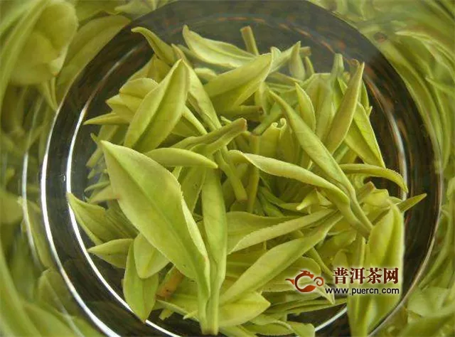 安吉白茶是中国十大名茶吗？