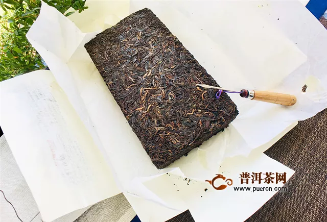 與君初相識(shí) 猶如故人歸：2019年天弘易武枕頭磚熟茶評(píng)測(cè)報(bào)告