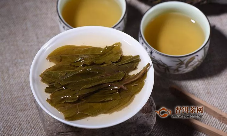 易武丁家寨瑤寨白茶園古樹茶特點(diǎn)