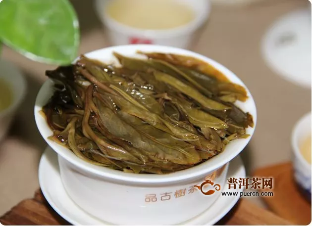 刮風(fēng)寨茶王樹普洱茶