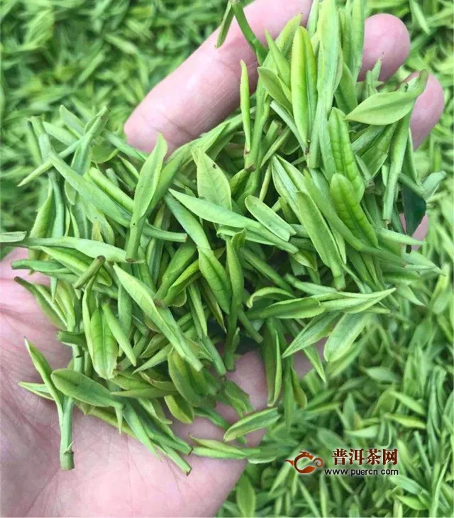 普洱茶和綠茶哪個抗癌