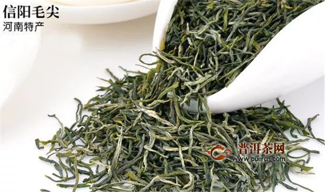 中国最好的绿茶之信阳毛尖