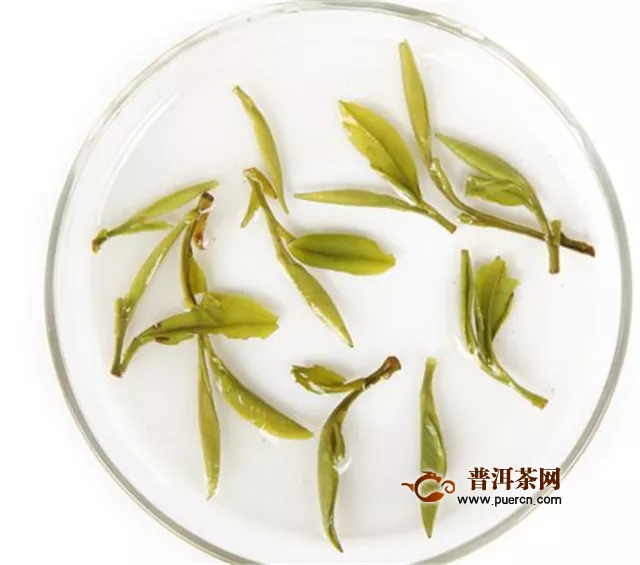 中国最好的绿茶之黄山毛峰