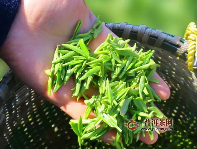 最好的绿茶是什么茶？中国名茶之首——西湖龙井茶