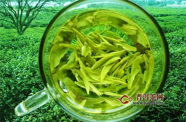 綠茶是指哪些茶