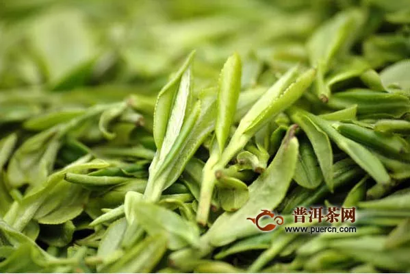 绿茶中茶多酚含量排名，绿茶茶多酚的用处！
