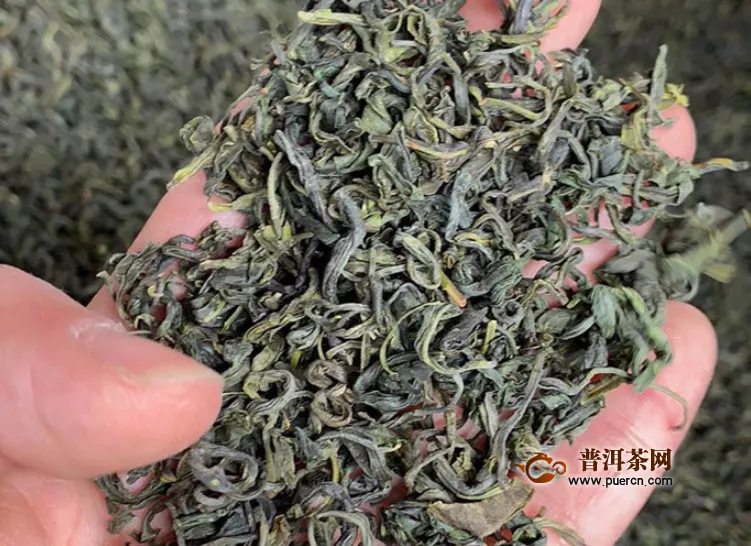 碧螺春是绿茶的一种吗？是的，碧螺春属于绿茶！