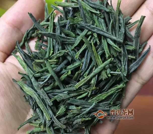 瓜片是绿茶吗？六安瓜片——中华传统历史名茶！