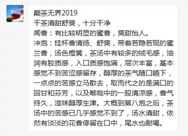 巅茶2019年无界：品饮官测评报告 上