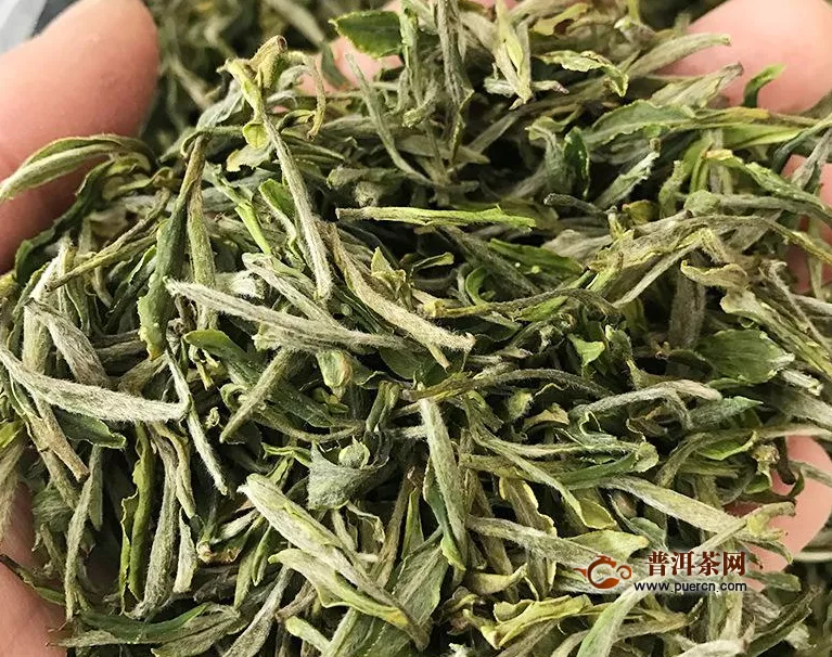 绿茶的味道都一样吗？简述绿茶的6种味道