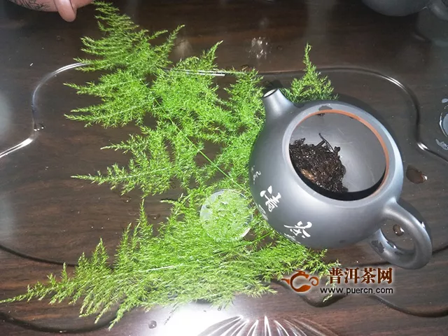 2015年天弘，天弘論道熟茶500克試用報告