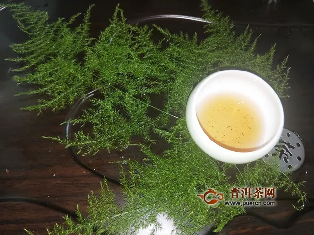 2015年天弘，天弘论道熟茶500克试用报告