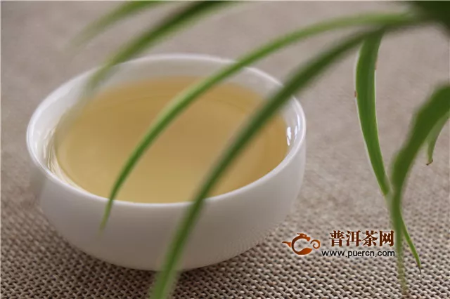 冰岛老寨古树茶特点