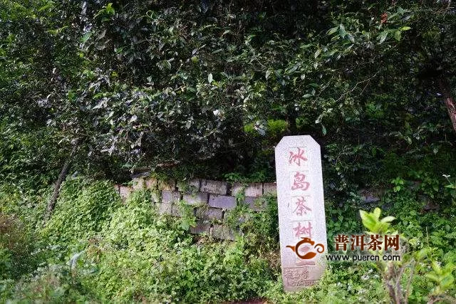 云南冰島茶產(chǎn)地在哪里