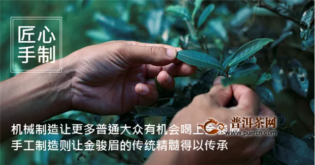 祁门香螺和祁门红茶的区别