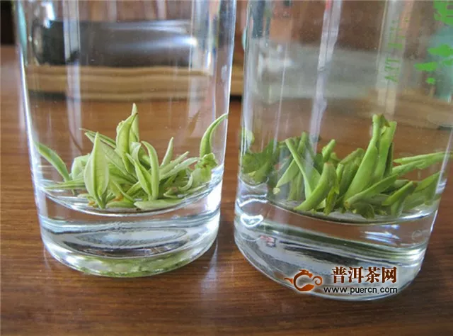安徽黄山的茶叶——黄山银钩