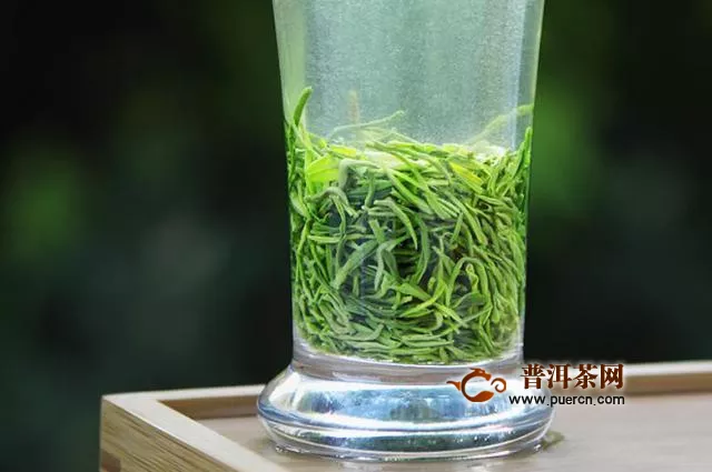 信陽(yáng)毛尖屬于什么茶類(lèi)？屬于綠茶唄！