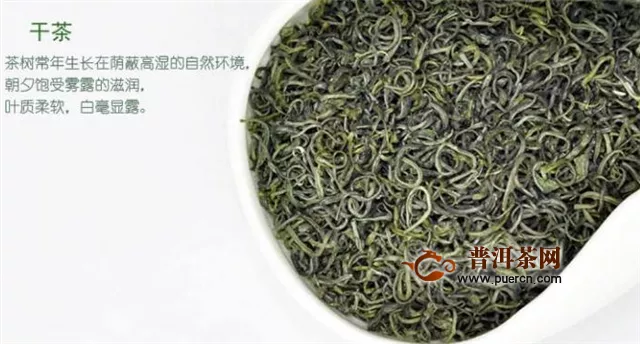 喝綠茶好還是喝烏龍茶好