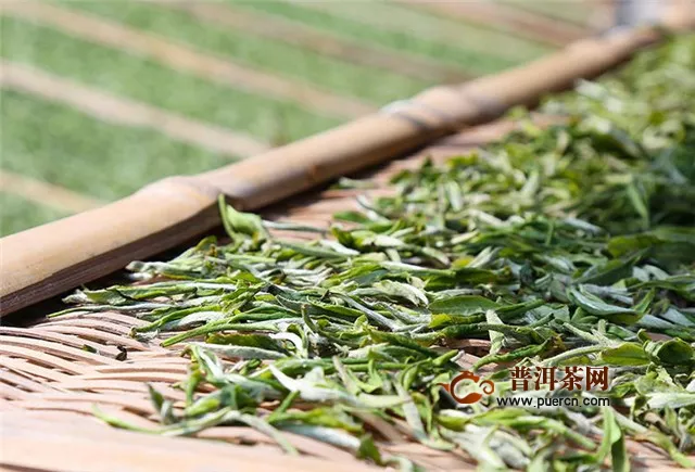 福鼎白茶的工艺流程，基本工艺包括萎凋、烘焙等工序