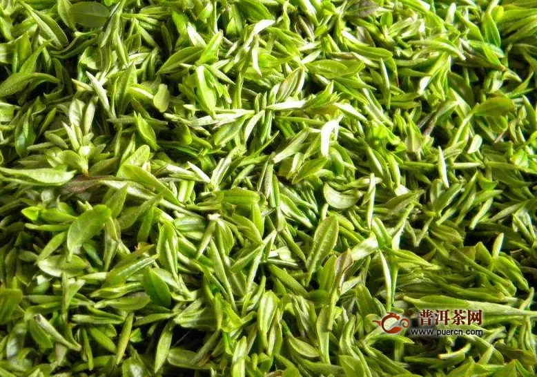 信阳绿茶品牌排行榜，信阳绿茶的特征