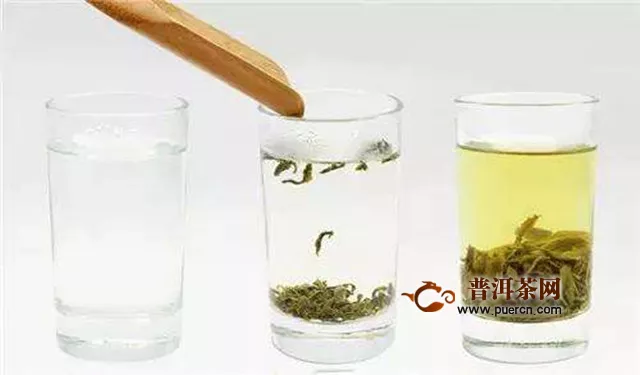 苍南翠龙茶保存方法