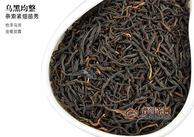 做奶茶用什么茶類？是紅茶還是烏龍茶？