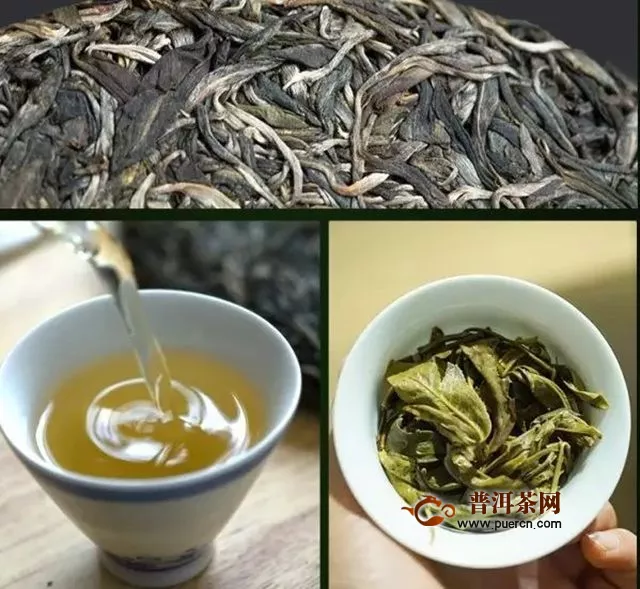 莽枝秧林普洱茶