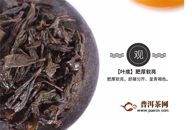 武夷巖茶是烏龍茶的代表，特別是大紅袍