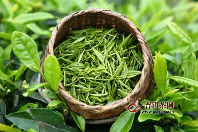 龍峰茶產(chǎn)自哪里？龍峰茶產(chǎn)地介紹